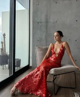 MISHA Sapphire Sequin Maxi Dress Red Size 8/S for rent on The Volte - image 3