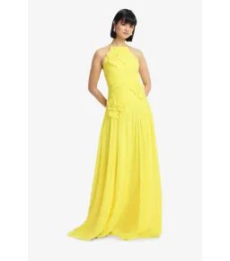 Leo Lin Amya Floral Appliqué Maxi Gown in Sunshine Size AU 10 for rent on The Volte - image 2