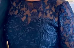 Formal Gown by Bariano Navy Lace 3/4 sleeves tapered length for rent on The Volte - image 1