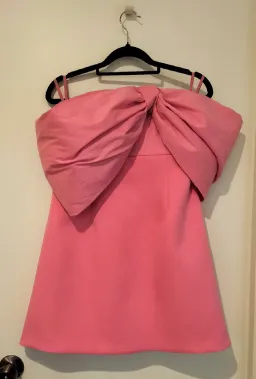 Rachel Gilbert Kace Mini Dress Pink Size 2 / AU 10 for rent on The Volte - image 6
