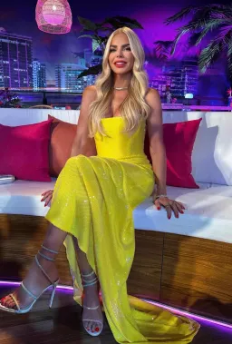 Alex Perry Strapless Sequined Corset Maxi Gown Yellow Size AU 6  for rent on The Volte - image 5