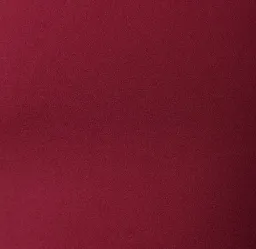 Azzurielle Tenzin Sleeveless Dress for rent on The Volte - image 6