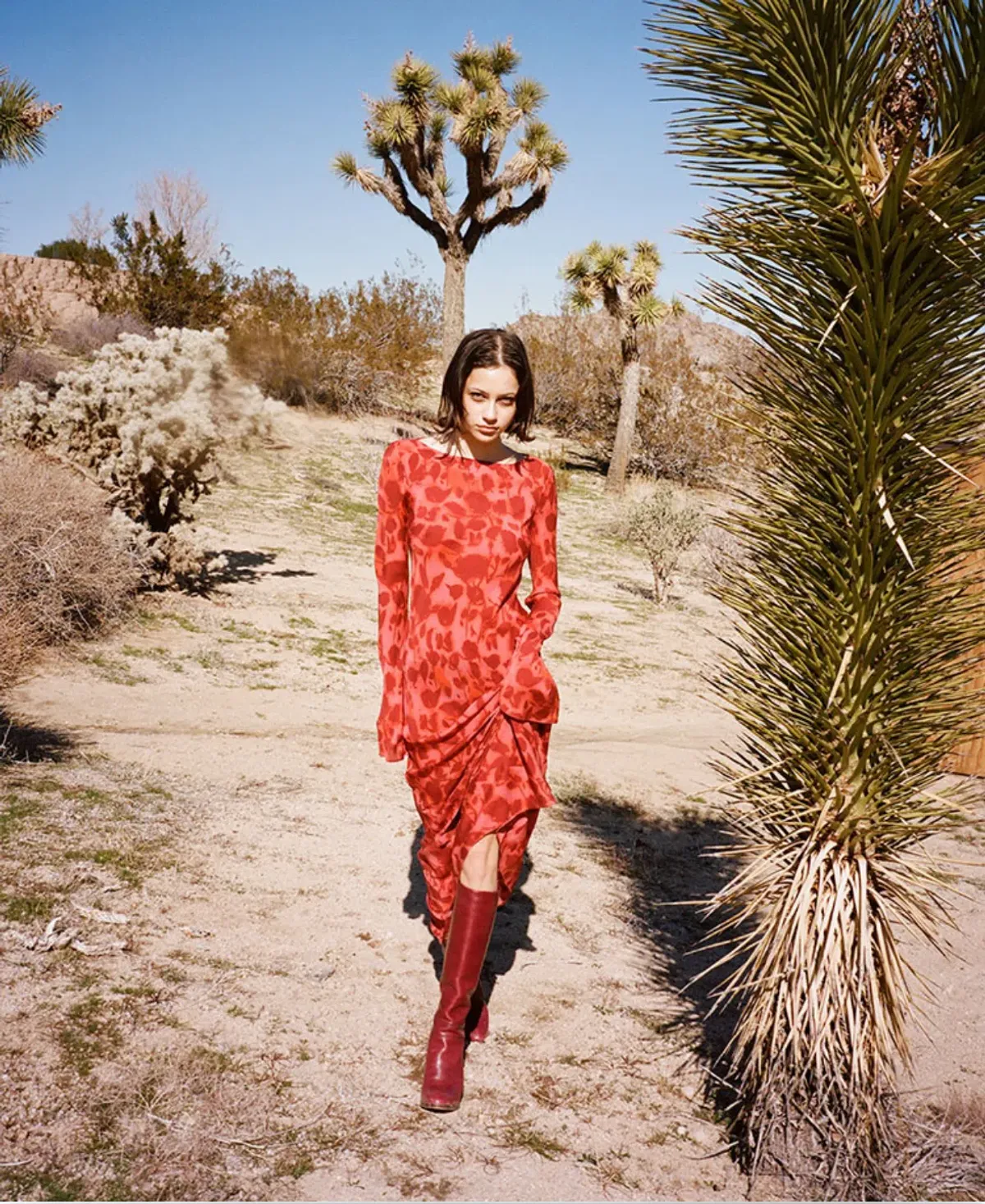 Realisation Par Gia red  - Image 1