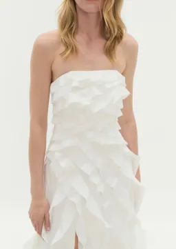 ALLAIRIE GOWN for rent on The Volte - image 3