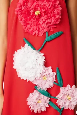 Elliatt Buttercup Embroidered Maxi Dress in Red Size 12 for rent on The Volte - image 4