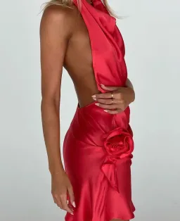 ARCINA ORI ROSE DRESS for rent on The Volte - image 1