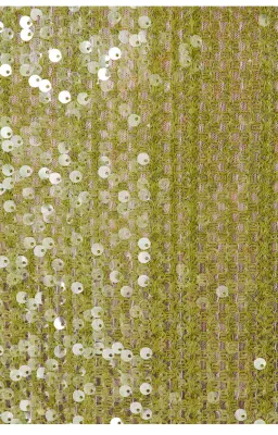 Brihante Sequin Maxi Dress in Island Green Camila Coelho for rent on The Volte - image 4