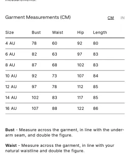 Alemais Dusty Embroidered Mini Dress Size 8 for rent on The Volte - image 4