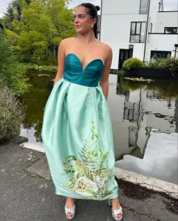 Alemais Anita Gown Size AU 8 for rent on The Volte - image 6