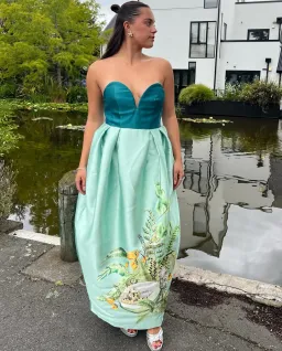 Alemais Anita Gown Size AU 8 for rent on The Volte - image 5