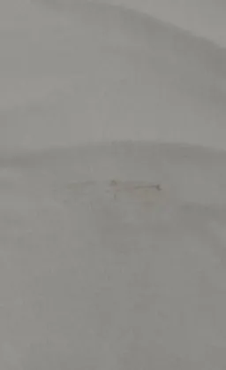 La Marie Raya Set for rent on The Volte - image 2