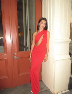 THE SOLSTICE CUPRO DRESS for rent on The Volte - image 1