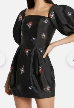 Sass & Bide Rich Nature Mini Dress Size 6 for rent on The Volte - image 1