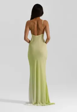 Natalie Rolt Hallie Gown in Citrus Size 6 for rent on The Volte - image 4