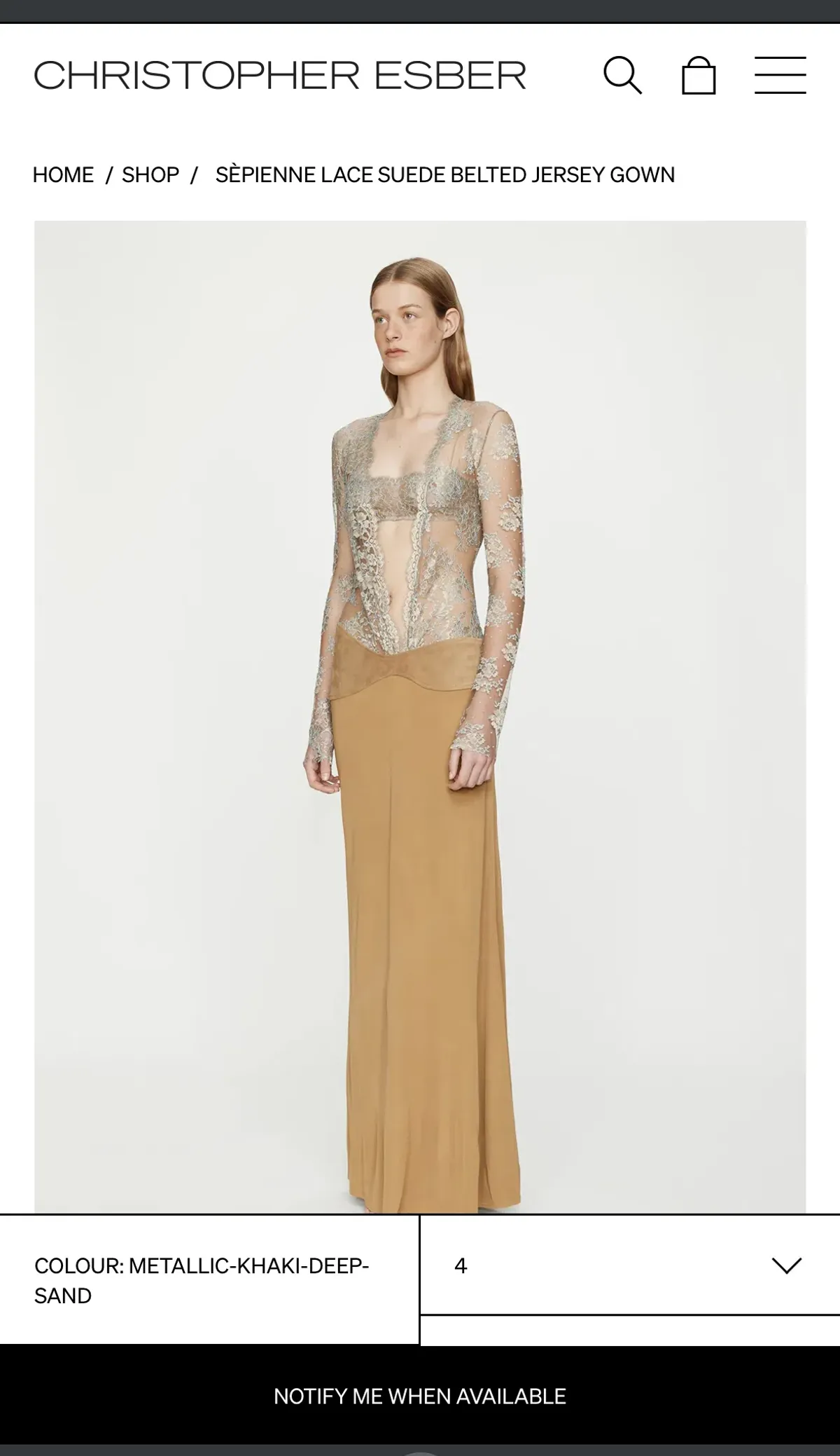 CHRISTOPHER ESBER - Sèpienne Lace Suede Belted Gown - Image 3