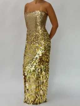 Rachel Gilbert Remy Gown 10 AU for rent on The Volte - image 1
