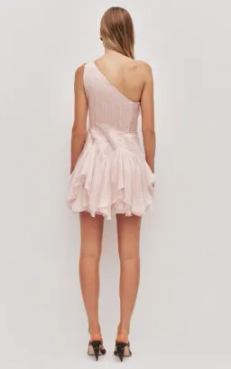 AJE Nisha Mini Dress Rosewater Size 14 for rent on The Volte - image 2