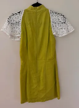 Van Der Kooij Absinthe Micro Mini Dress Size 6 for rent on The Volte - image 6