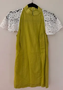 Van Der Kooij Absinthe Micro Mini Dress Size 6 for rent on The Volte - image 5