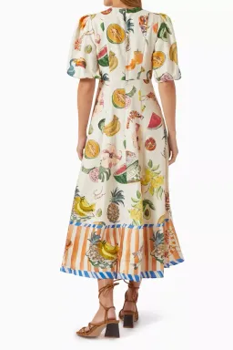 ALEMAIS Theo Midi Dress Multi Size 6 AU for rent on The Volte - image 5