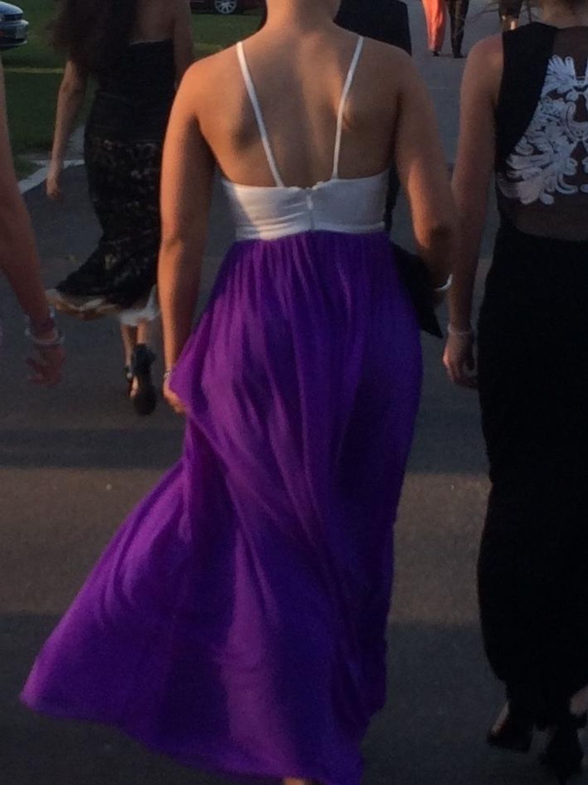 Langhem Gorgeous Formal Dress Size 8  - Image 2