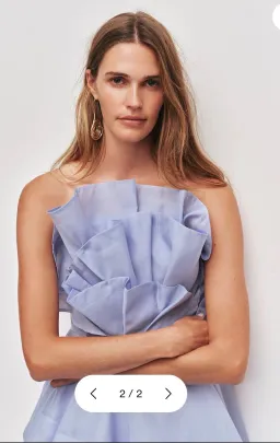 Aje Selestia Gown for rent on The Volte - image 2