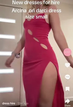 Darci dress for rent on The Volte - image 2