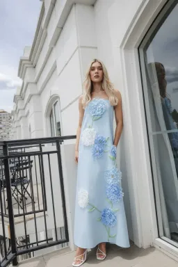 Elliatt Buttercup Embroidered Maxi Dress In Blue Size 14 for rent on The Volte - image 1