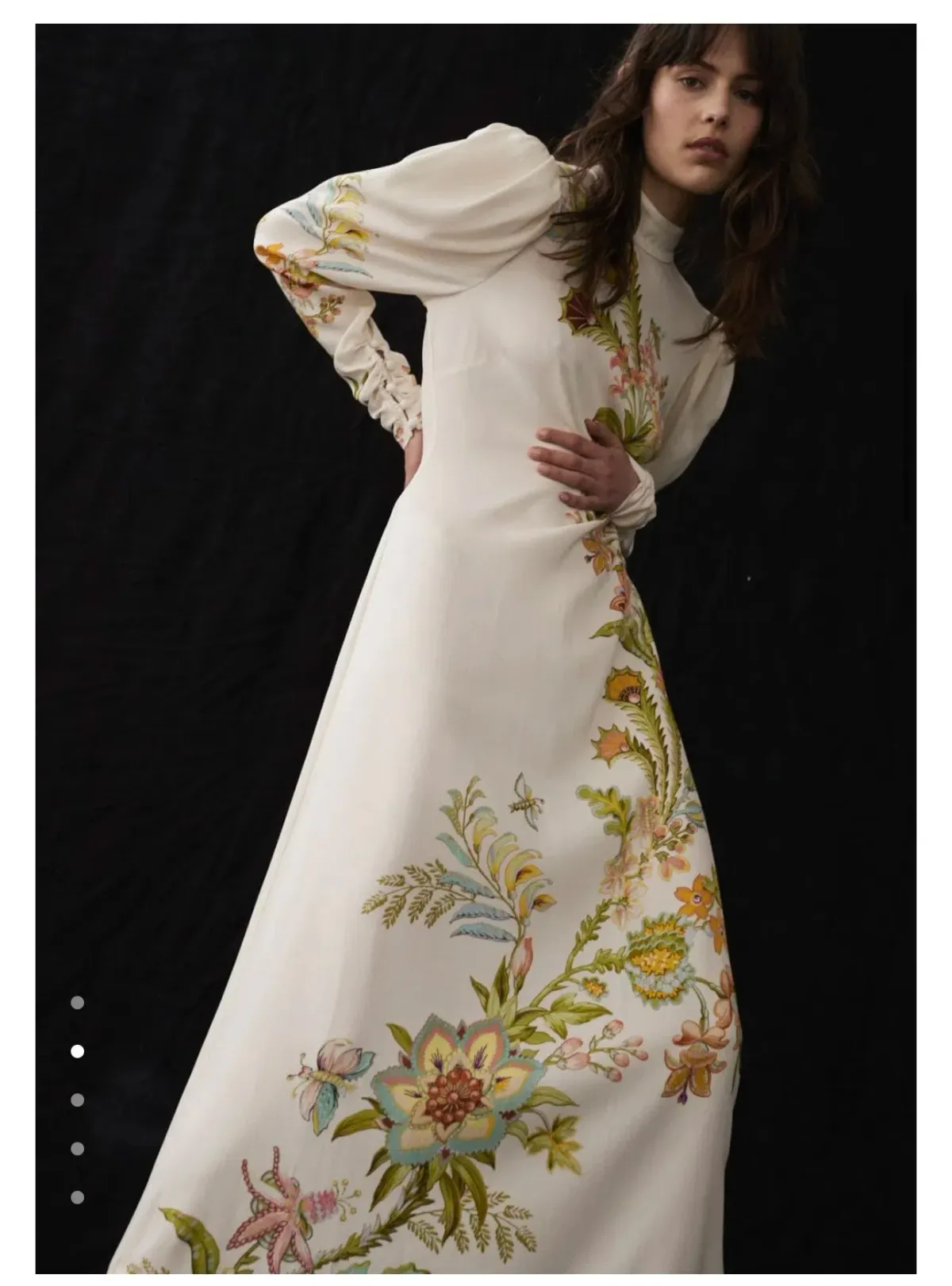 Alemais Ira Gown - size 10 - Image 2