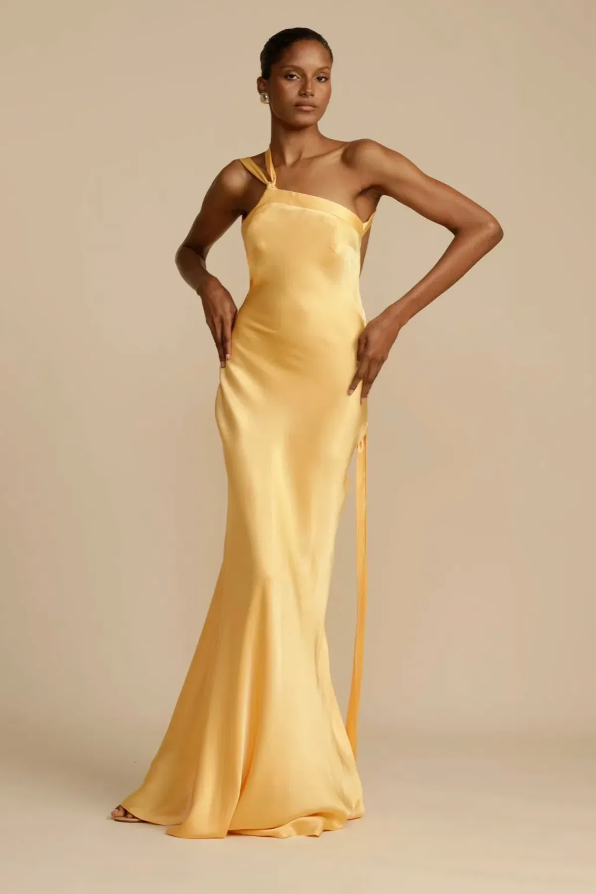 ARCINA ORI MONIQUE DRESS - Image 1