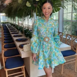 Zimmermann High Tide Buttoned Mini Dress Size 3 / 14 AU for rent on The Volte - image 2