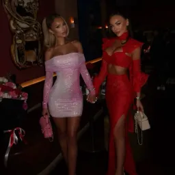 Self-Portrait Contour Print Embellished Pink Mini Dress for rent on The Volte - image 1