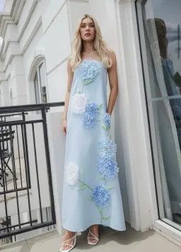 Elliatt Buttercup Maxi Dress in Blue M/10 AU for rent on The Volte - image 1