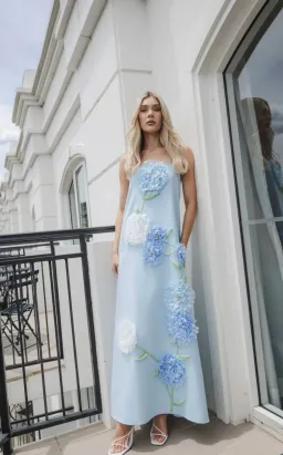 Elliatt Buttercup Embroidered Maxi Dress in Blue Size XS for rent on The Volte - image 1