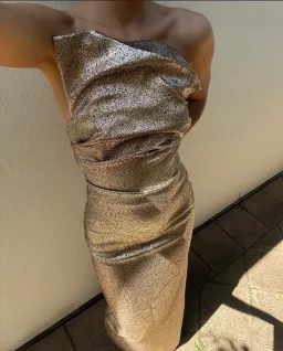 Tojha TACOMA DRESS - METALLIC CHAMPAGNE Size 6/XS for rent on The Volte - image 3