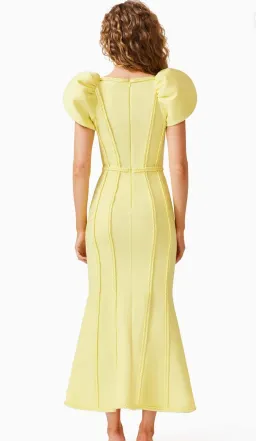 Elliatt- Katlyn Maxi Dress- Yellow- Size Medium for rent on The Volte - image 3