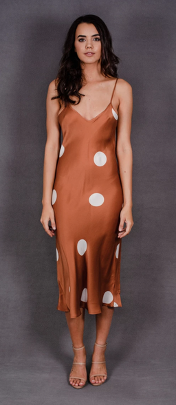 Silk Laundry Polka Dot Silk Slip Dress Cinnamon Size 6  for rent on The Volte - image 2