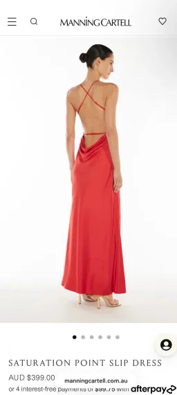 Manning Cartel Saturation Point Slip Dress for rent on The Volte - image 1