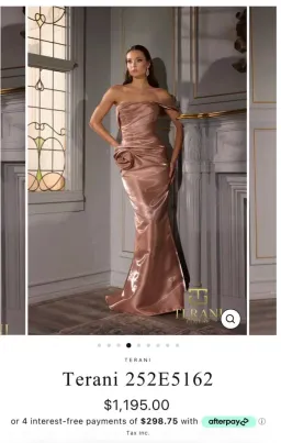 Duchess Boutique Dress Terani Couture Gown Champagne Nude color Size 16-18 for rent on The Volte - image 1