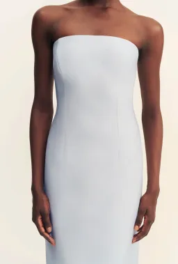 Shona Joy Otis Strapless Panneled Maxi Dress Sky Size 10 for rent on The Volte - image 4