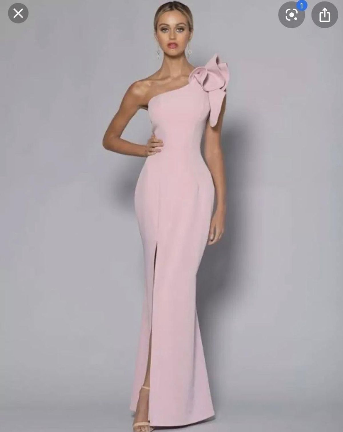 Bariano Pink Blush Long Dress - Image 1