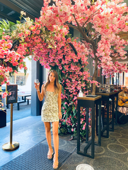 Shona joy suzette linen mini dress  for rent on The Volte - image 1