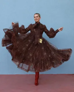 Zimmermann Tempo Ruched Glitter Gown Brown Size 10 for rent on The Volte - image 1