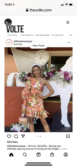 Acler Lawson Dress in Pink Bouquet Size 6 for rent on The Volte - image 4