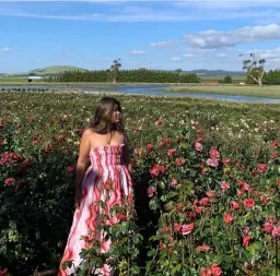 Steele Mirabella Dress Groovy Size 8 for rent on The Volte - image 5