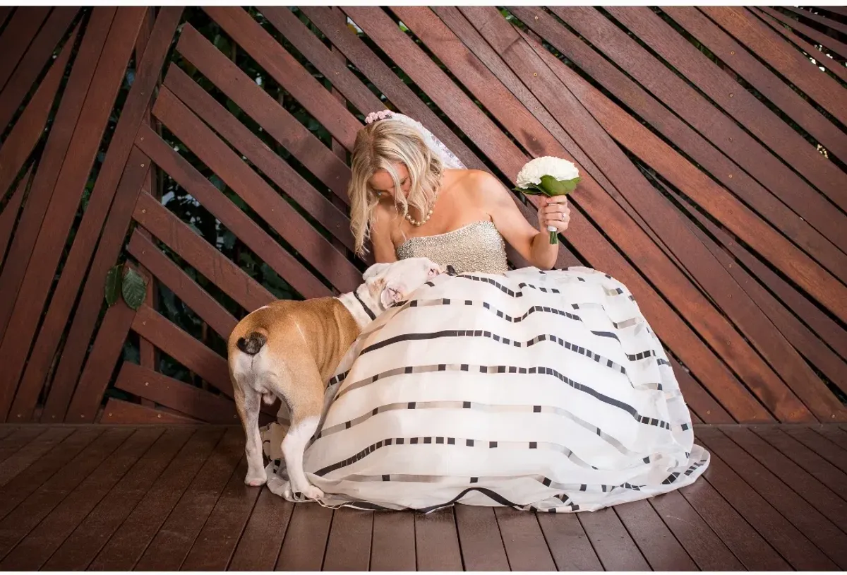 Darb Couture Wedding Dress White Size 8  - Image 3