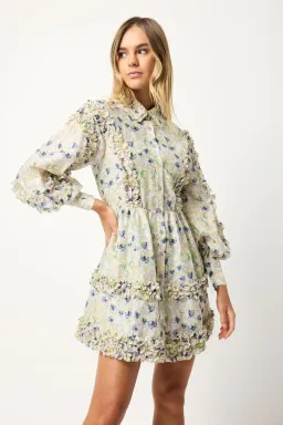 ElliattKendari Mini Dress Green Size 8  for rent on The Volte - image 1