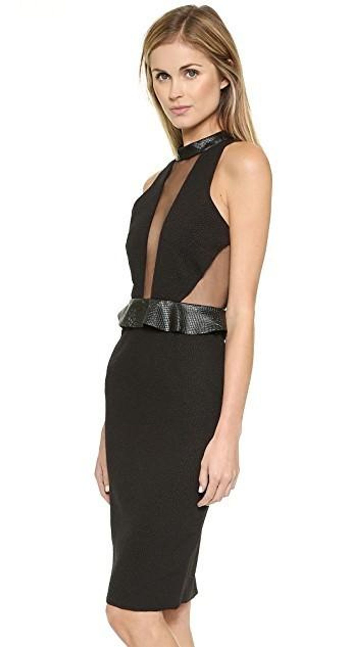 Shakuhachi Sheer Panel Dress Size 10 - Image 2