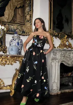 Leo Lin The Fields Embroidered Bustier Midi Dress Black Size 8 for rent on The Volte - image 1