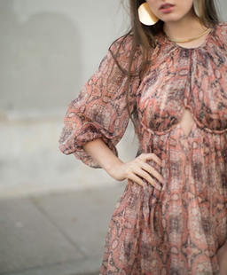 Zimmermann Empire Heiress Dress Ochre Konya Size 8 for rent on The Volte - image 4